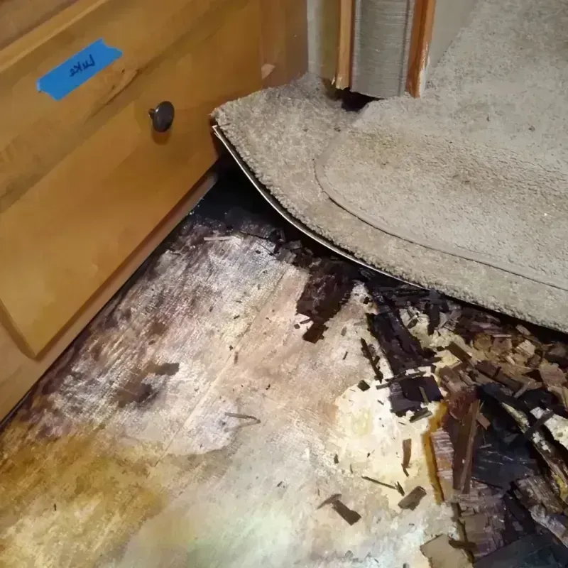 Wood Floor Water Damage in Gainesville, GA